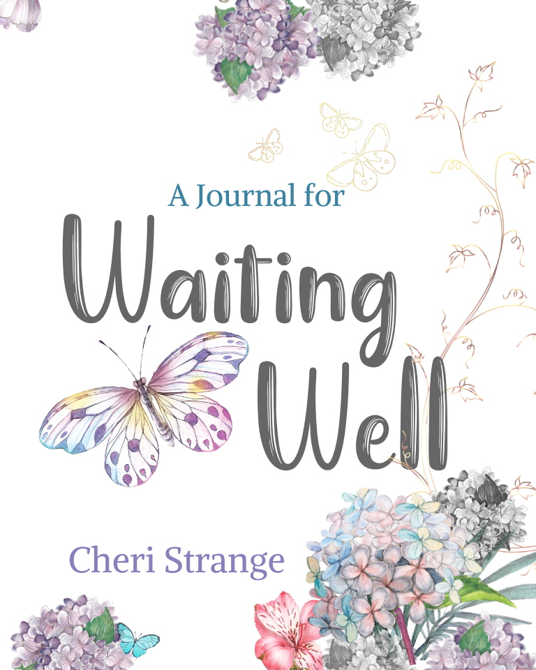 Journal for Waiting Well – A Guided 12-Week Prayer Journal