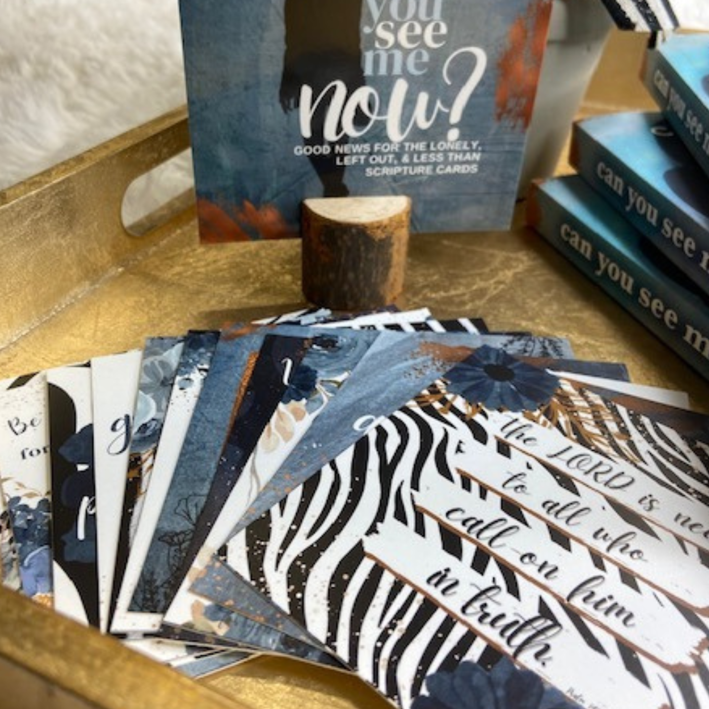 Can You See Me, Now? Scripture Card Set