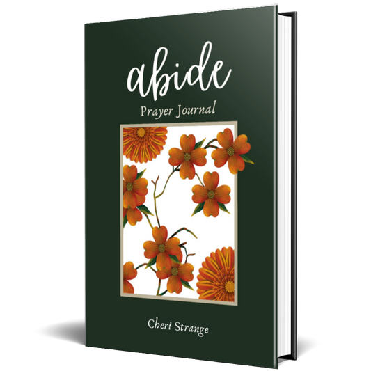 Abide Prayer Journal – Hardback and Paperback Options